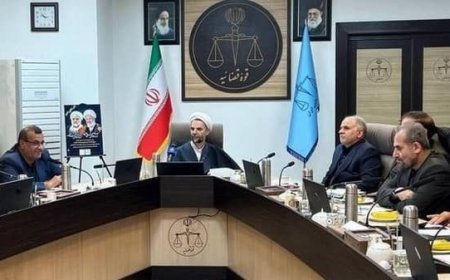 دیدار نمایندگان هرمزگان در مجلس با معاون اول قوه قضائیه