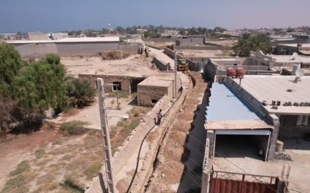 پرورش شتر در استان بوشهر