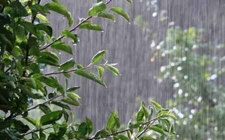 بارش باران خوزستان را فرا می‌گیرد