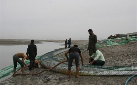 انهدام خطوط لوله انتقال سوخت قاچاق در سواحل جزیره قشم