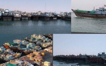 رونق زندگی ساحل‌نشینان با افزایش سفرهای دریایی؛ تسریع در صدور مجوزها