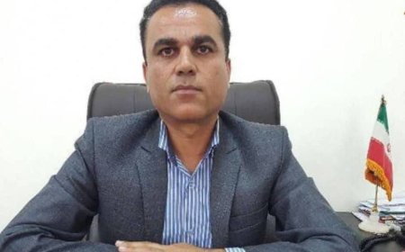 سرپرست فرمانداری کنگان منصوب شد