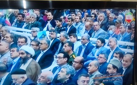 استقبال گرم بوشهری از رئیس جمهور