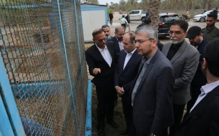 وزیر جهاد کشاورزی از پروژه تصفیه آب و طرح تحول نخیلات در شهرآبپخش بوشهر بازدید کرد