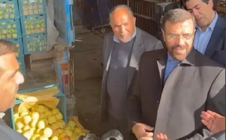 کاهش ۳۰ درصدی قیمت کالاها با اجرای طرح «از مزرعه تا سفره» در فارس