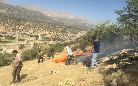 بی‌احتیاطی گردشگران نیم هکتار از مراتع حفاظت شده دنا را طعمه حریق کرد