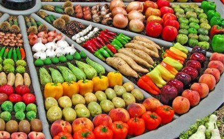 میزان صادرات محصولات گلخانه‌ای هرمزگان به بیش از ۱۷۰ هزار تن رسید