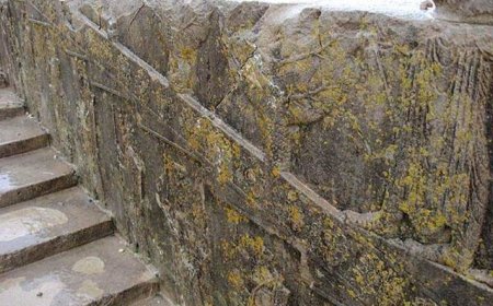 مقابله با رویش گلسنگ‌ها در آثار باستانی نیاز به رسیدگی پیوسته دارد