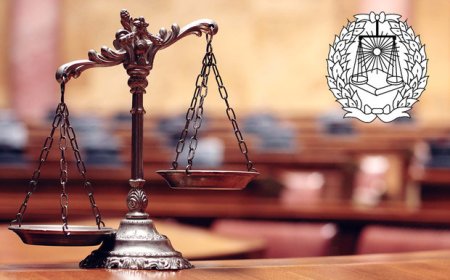 استان بوشهر چند وکیل دارد؟