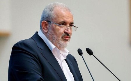 وزیر نیرو در شیراز: تابستان آتی با قدرت از ناترازی‌ها عبور می‌کنیم