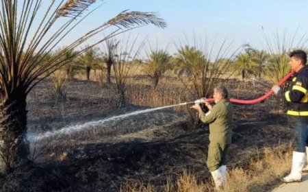 ۲۰۰ نخل در شادگان دچار آتش سوزی شدند