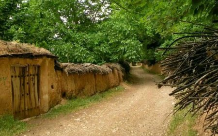 نظارت و حفظ باغات شیراز نیازی به دستور قضایی ندارد