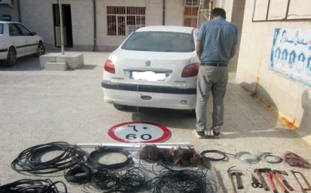 دستگیری ۲ سارق در بوشهر با ۱۵ فقره سرقت