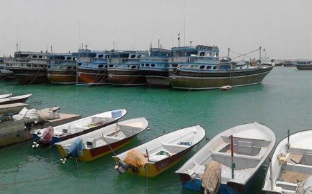 قایق های تفریحی در استان بوشهر شناسنامه دار می شوند