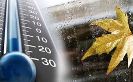 کاهش دما در بوشهر تا ابتدای هفته آینده ادامه دارد