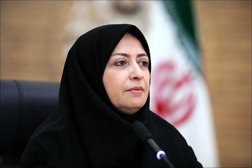 معاون رئیس جمهور در عسلویه: دولت وفاق بر توسعه پایدار و محیط زیست تاکید دارد