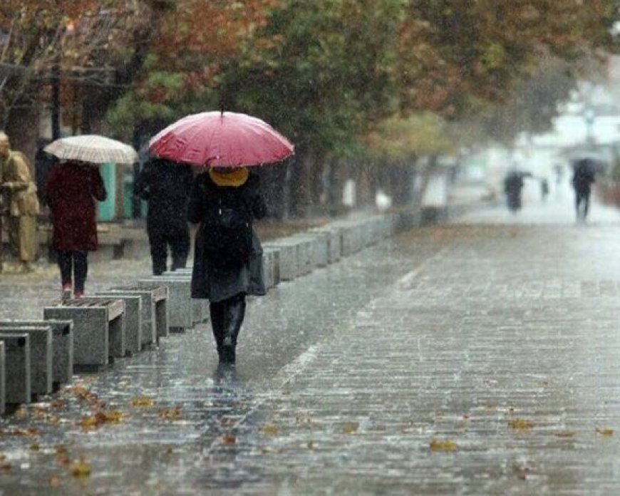 سامانه بارشی درحال خروج از استان بوشهر است