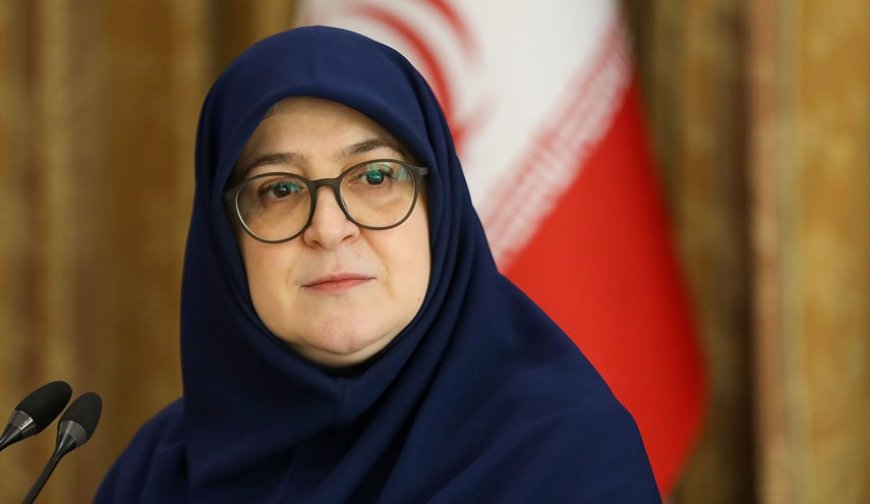 سخنگوی دولت در بوشهر: باید برای زنان تبعیض مثبت قائل شویم