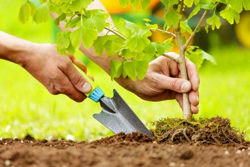 پویش ملی روز درختکاری در شیراز