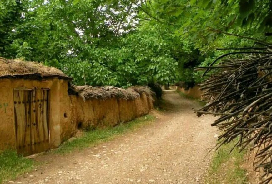 نظارت و حفظ باغات شیراز نیازی به دستور قضایی ندارد