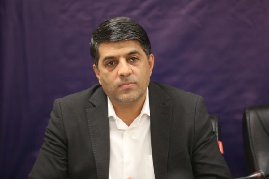 مدیرکل میراث فرهنگی فارس: گرامیداشت کریم‌خان زند در شیراز برگزار می‌شود