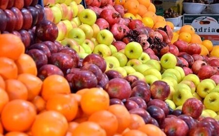 ۴۰ تن میوه تنظیم بازار شب عید استان بوشهر ذخیره‌سازی شد