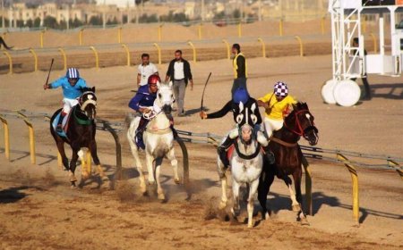 موافقت وزیر نیرو نسبت به واگذاری تنها پیست سوارکاری خوزستان
