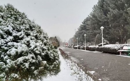 بارش برف در شهرک گلستان شیراز