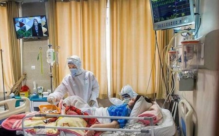 آتش سوزی کارگاه مبل سازی در گویم شیراز چهار مصدوم بر جا گذاشت