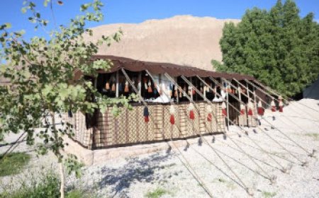 سیاه‌چادرهای عشایری در مبادی ورودی شهرستان‌های فارس برپا می‌شوند