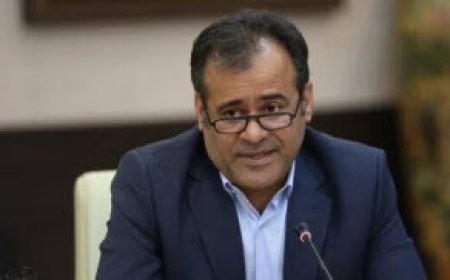 تحقق ۶۹ درصدی تعهدات پرداخت وام بانک‌های بوشهر