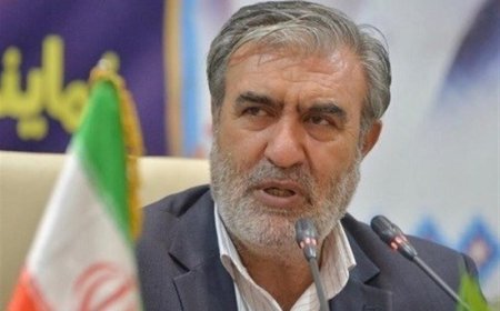 نماینده شیراز: سومین حرم اهل بیت (ع) در ایام نوروز به درستی معرفی شود