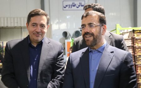 طرح ملی میوه شب عید زیر ذره بین استاندار فارس