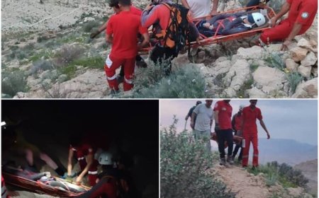 نجات جان کوهنورد ۴۰ ساله در ارتفاعات کوه بیرمی شهرستان تنگستان