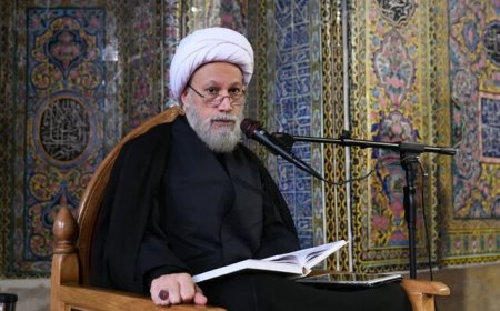امام جمعه شیراز: مقابله با هنجارشکنی‌ها با جدیت بیشتری دنبال شود / لزوم حمایت از تولیدکنندگان پوشاک اسلامی