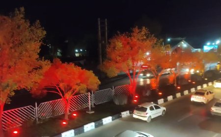 رونمایی از طرحهای شهری شهرداری شیراز