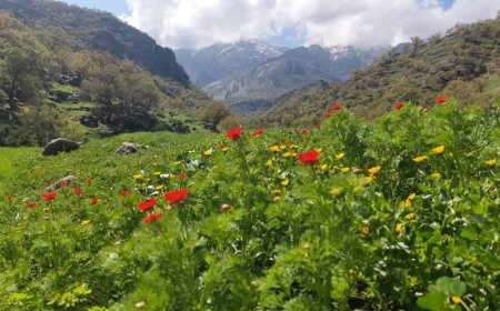 نوروزگردی در باشت،طبیعت دلنشین تفرجگاه رودرونه