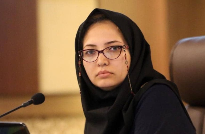 انتصاب یک بانوی جوان و تحول خواه به سمت معاون هنری ارشاد فارس