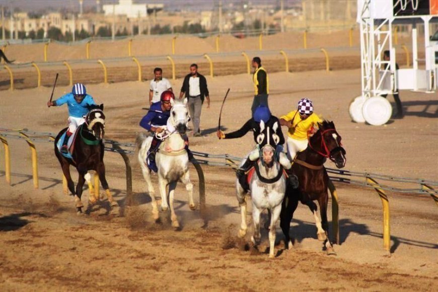 موافقت وزیر نیرو نسبت به واگذاری تنها پیست سوارکاری خوزستان