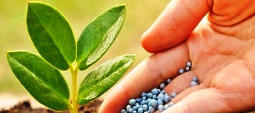 توزیع ۱۹ هزار و ۸۷۰ تن انواع کود کشاورزی در استان بوشهر