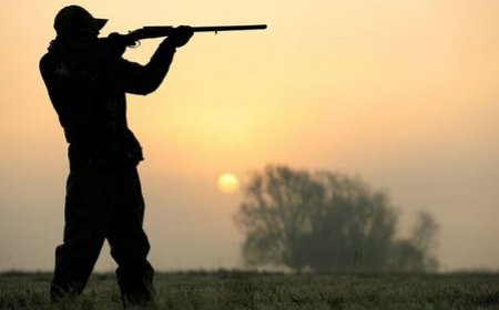 شکارچیان متخلف محیط‌بان بوشهری را مجروح کردند