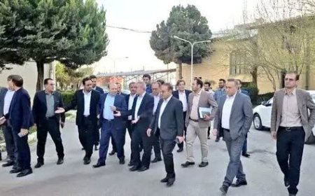 استاندار کهگیلویه و بویراحمد: فعالیت کارخانه آرد و نشاسته یاسوج در دستور کار است