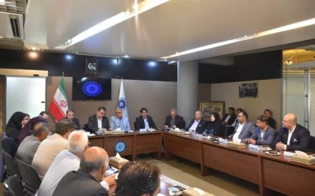 رتبه سوم استان فارس در میزان سرمایه‌گذاری‌های انجام شده در کشور/ پیگیر رفع تعهدات ارزی هستیم
