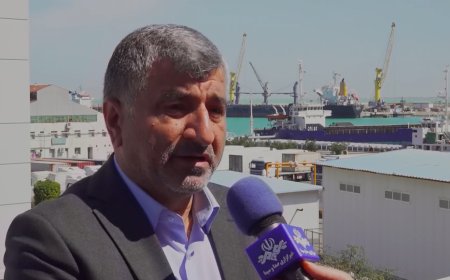 صادرات ۳۱ میلیون تن کالا از گمرک‌های بوشهر