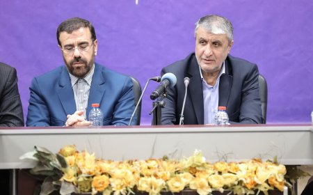 اسلامی: کلینیک‌های درمان زخم بر پایه فناوری پلاسمای سرد تا ۵۰ مرکز افزایش می‌یابد