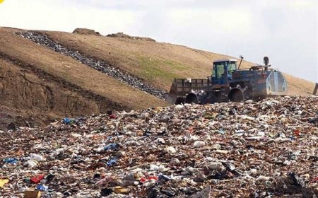 فرماندار بوشهر: انتقال سایت پسماند از مطالبات جدی مردم محلات جنوبی بوشهر است