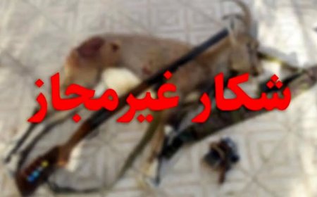 دستگیری شکارچی متخلف در بندر لنگه