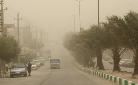 فعالیت مدارس و ادارات در استان بوشهر غیر حضوری شد