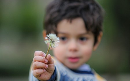 کَرَک جان بنده ی دم باش