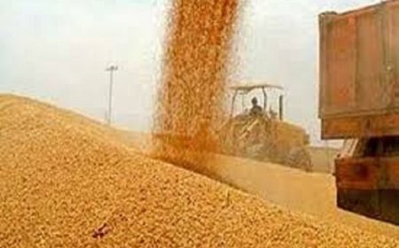 مراکز خرید گندم نباید در ساعات اوج فعالیت، با خاموشی مواجه شوند